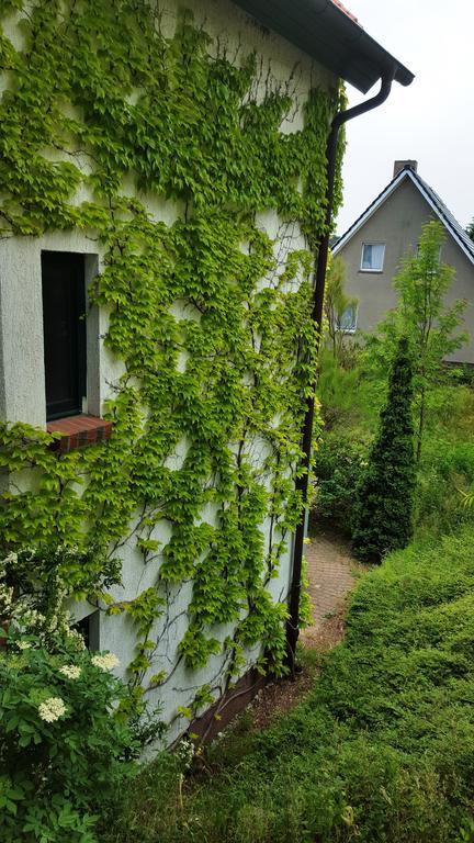 Haus Seefeld Uckeritz Exterior foto